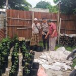 Ketahanan Pangan: Peran Aktif Bhabinkamtibmas di Tengah Masyarakat