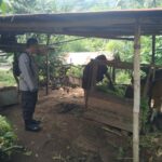 Ketahanan Pangan dari Rumah: Polri Ajak Warga Tanam Sayur di Pekarangan