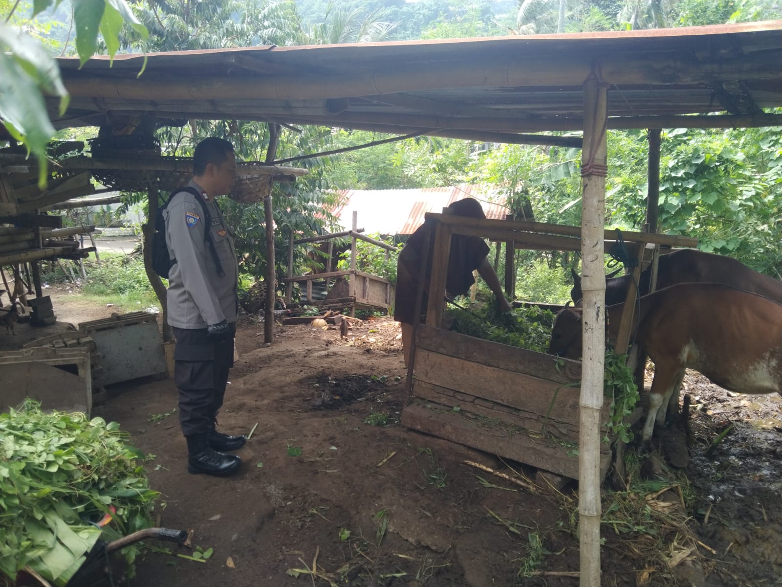 Ketahanan Pangan dari Rumah: Polri Ajak Warga Tanam Sayur di Pekarangan