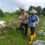 Bhabinkamtibmas Desa Jagaraga Aktif Sosialisasi Ketahanan Pangan, Warga Antusias Menyambut