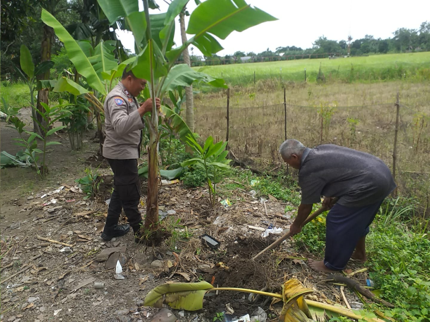 Sosialisasi Ketahanan Pangan, Bhabinkamtibmas Desa Jagaraga Rangkul Petani Lokal