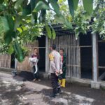 Bhabinkamtibmas Labuapi Aktif Dorong Ketahanan Pangan di Tingkat Petani