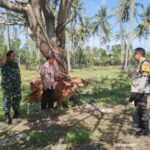 Bhabinkamtibmas Batulayar Giatkan Pertanian Pekarangan Warga