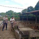 Bhabinkamtibmas Dorong Ketahanan Pangan di Dusun Merembu Tengah