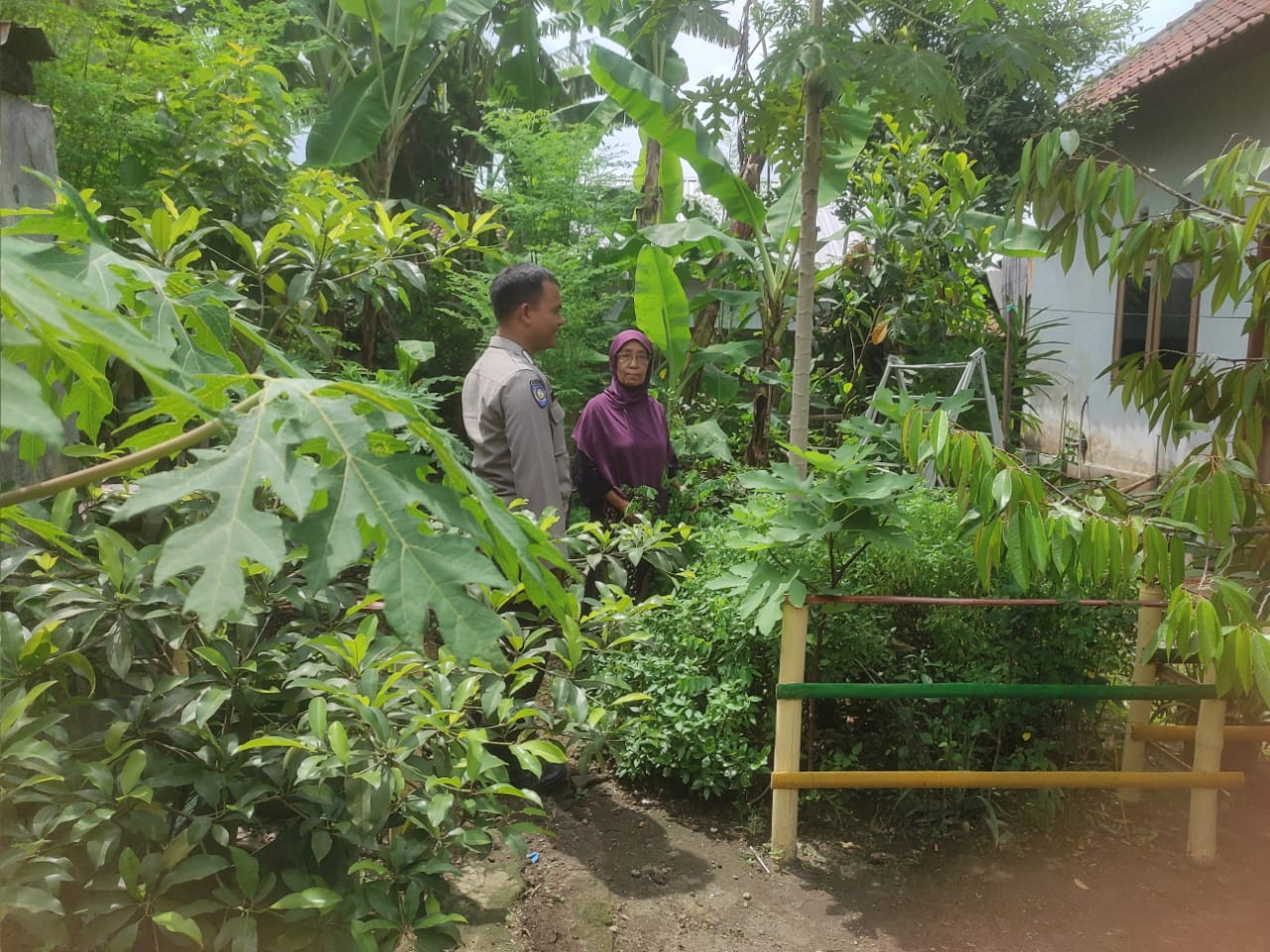 Bhabinkamtibmas Gerung Dukung Ketahanan Pangan Lewat Pekarangan Warga