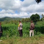 Perhatian Polri untuk Petani Lombok Barat: Edukasi dan Pendampingan Langsung