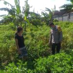 Ketahanan Pangan Desa Jagaraga Diperkuat Lewat Pendampingan Polri