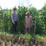 Bhabinkamtibmas Sosialisasi Pemanfaatan Lahan Kosong untuk Pangan