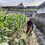 Bhabinkamtibmas Labuapi Dorong Pemanfaatan Lahan Demi Ketahanan Pangan