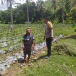 Dukung Ketahanan Pangan, Polri Aktif di Desa Batu Putih