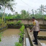 Ketahanan Pangan Dimulai dari Dusun Pesongoran, Lombok Barat