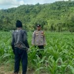 Kunjungan DDS: Ketahanan Pangan dan Kamtibmas Jadi Fokus Polisi Sekotong