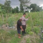Kolaborasi Warga dan Polisi Dorong Pemanfaatan Pekarangan di Labuapi