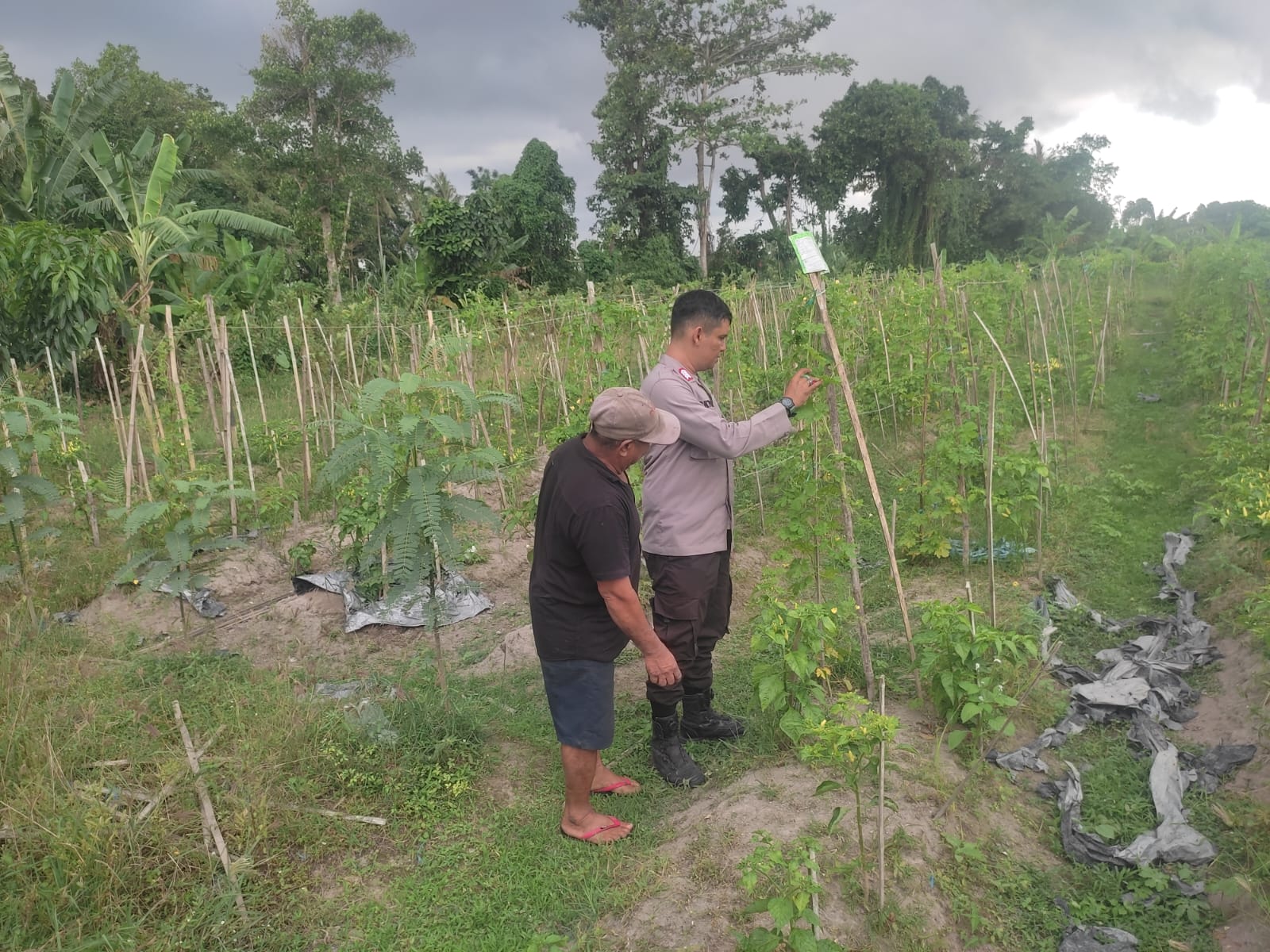 Kolaborasi Warga dan Polisi Dorong Pemanfaatan Pekarangan di Labuapi