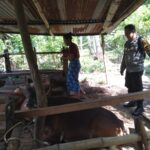 Polri Dorong Swasembada Pangan di Batulayar Barat