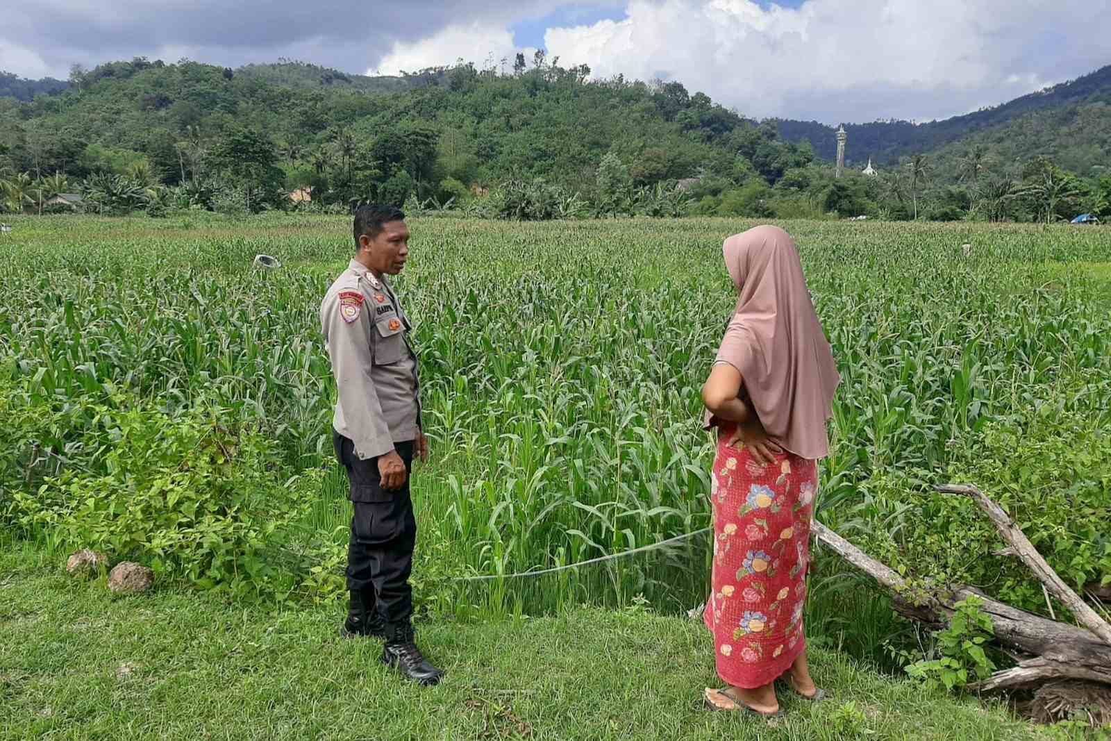 Polsek Lembar Dukung Ketahanan Pangan Lewat Sambang Petani di Sekotong Timur