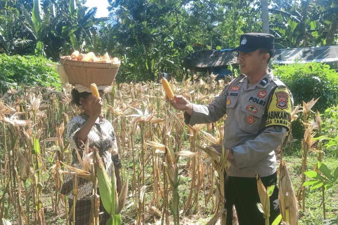 Bangun Pagi: Rahasia Sukses dan Bahagia Terungkap?