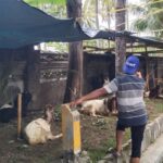 Inisiatif Bhabinkamtibmas di Lombok Barat: Pekarangan Jadi Lumbung Pangan