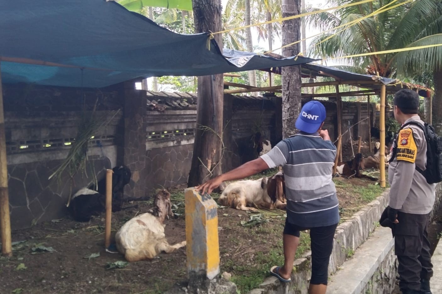 Inisiatif Bhabinkamtibmas di Lombok Barat: Pekarangan Jadi Lumbung Pangan