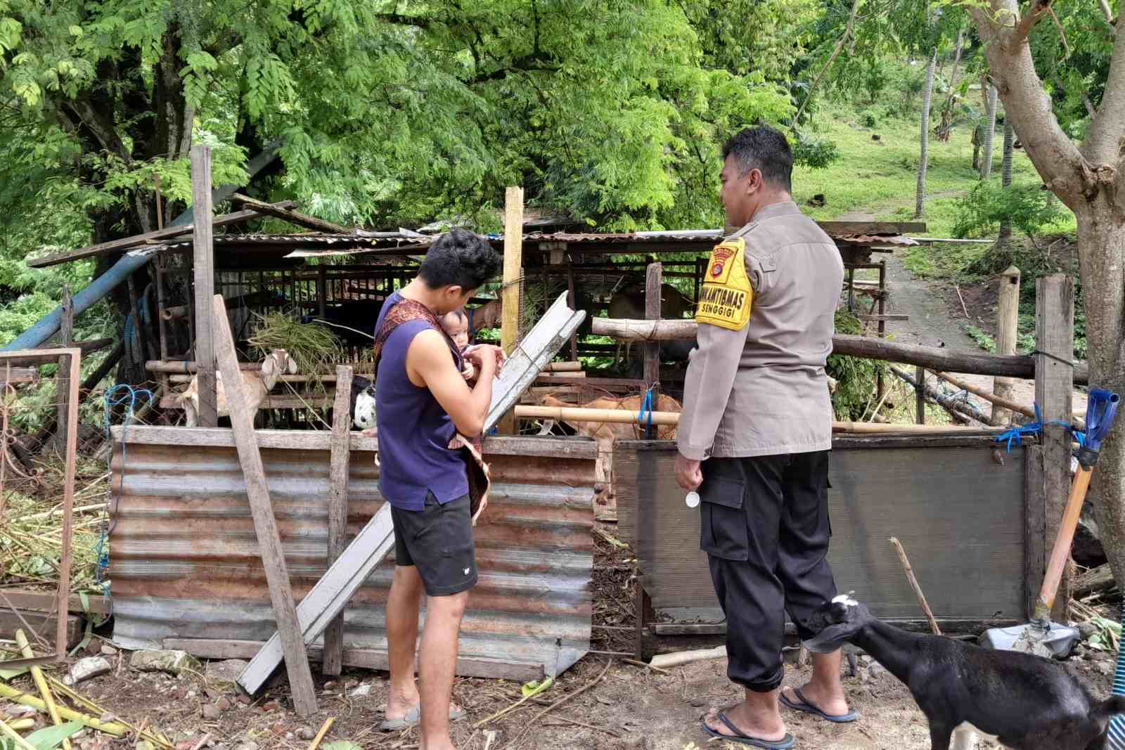 Ketahanan Pangan di Senggigi: Polisi Turun Tangan Bantu Petani