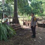 Sinergi Polri-Masyarakat Bangun Ketahanan Pangan Lokal di Batulayar