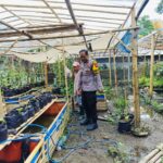 Bhabinkamtibmas Desa Bajur Dorong Kemandirian Pangan Warga Tempit