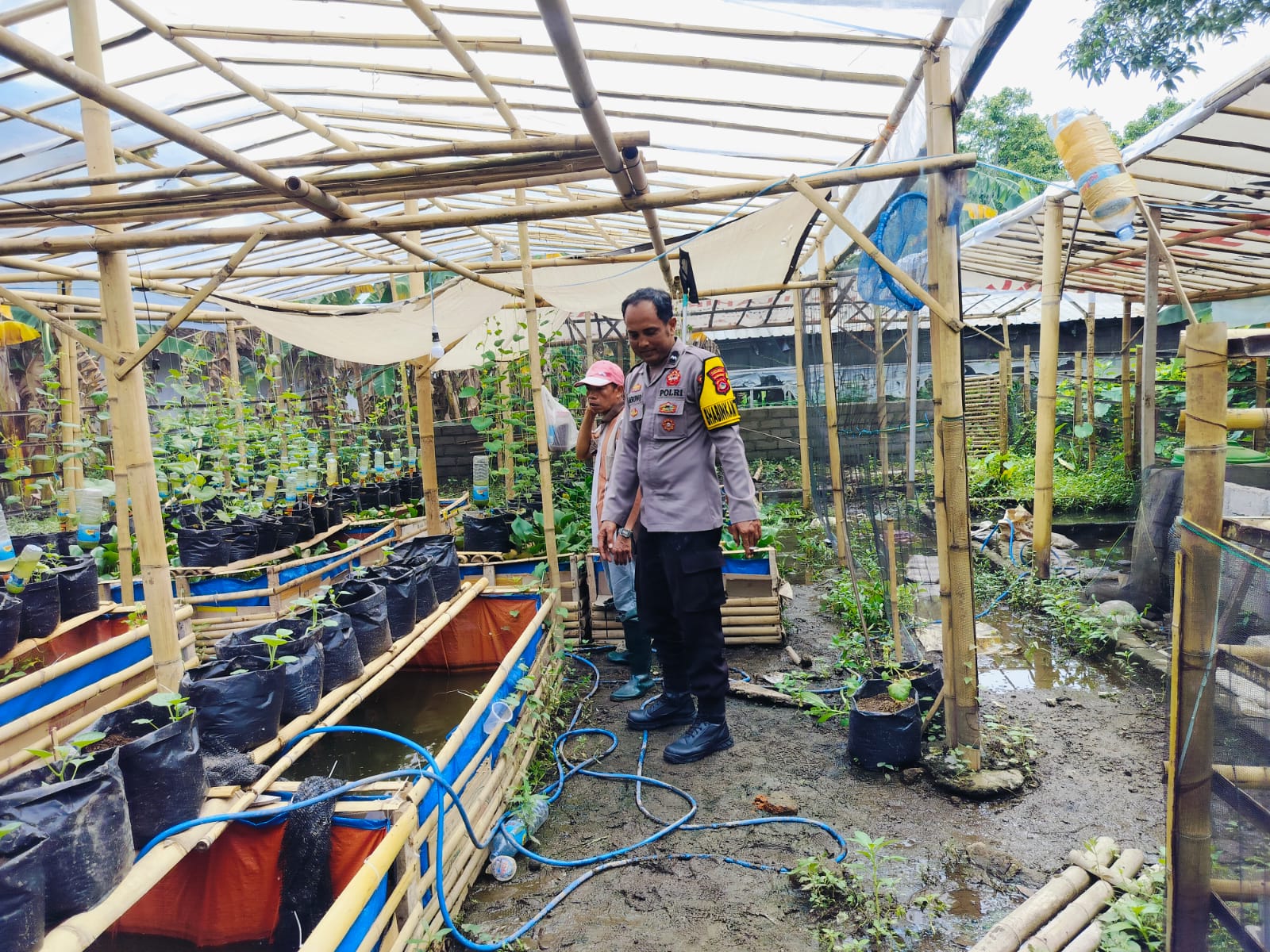 Bhabinkamtibmas Desa Bajur Dorong Kemandirian Pangan Warga Tempit