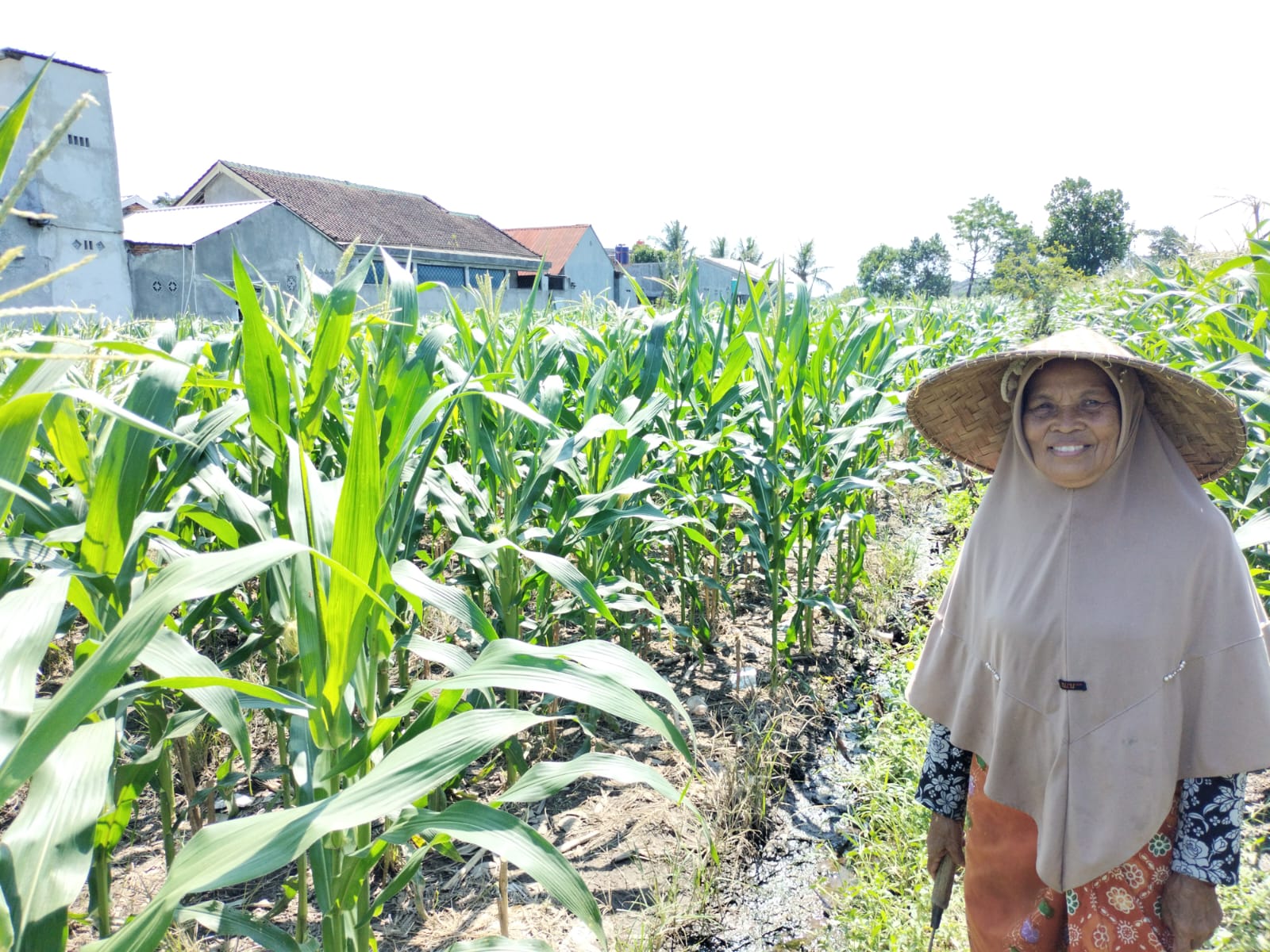 Bhabinkamtibmas Labuapi Ajak Warga Optimalkan Lahan Pekarangan untuk Ketahanan Pangan