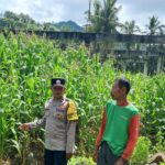 Bhabinkamtibmas Sekotong Dorong Pemanfaatan Pekarangan untuk Ketahanan Pangan