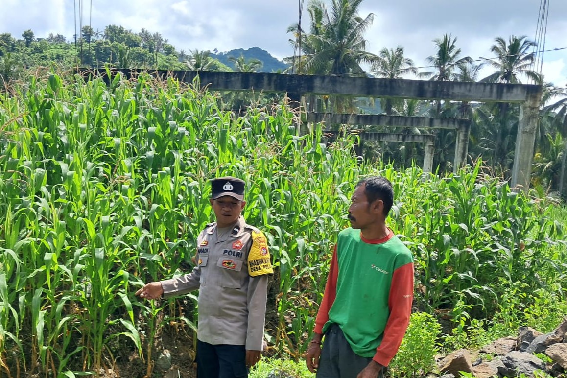 Bhabinkamtibmas Sekotong Dorong Pemanfaatan Pekarangan untuk Ketahanan Pangan