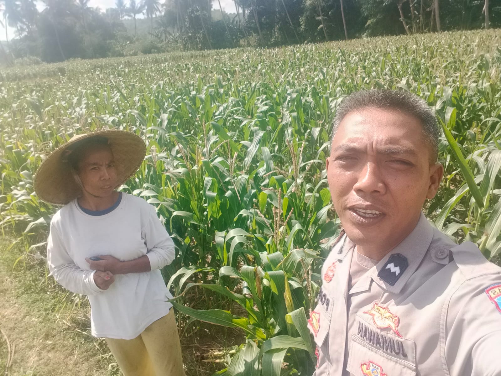 Dukungan Polri di Eyat Mayang, Petani Jagung Tak Sendiri