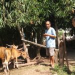 Ketahanan Pangan Berbasis Komunitas di Dusun Melase