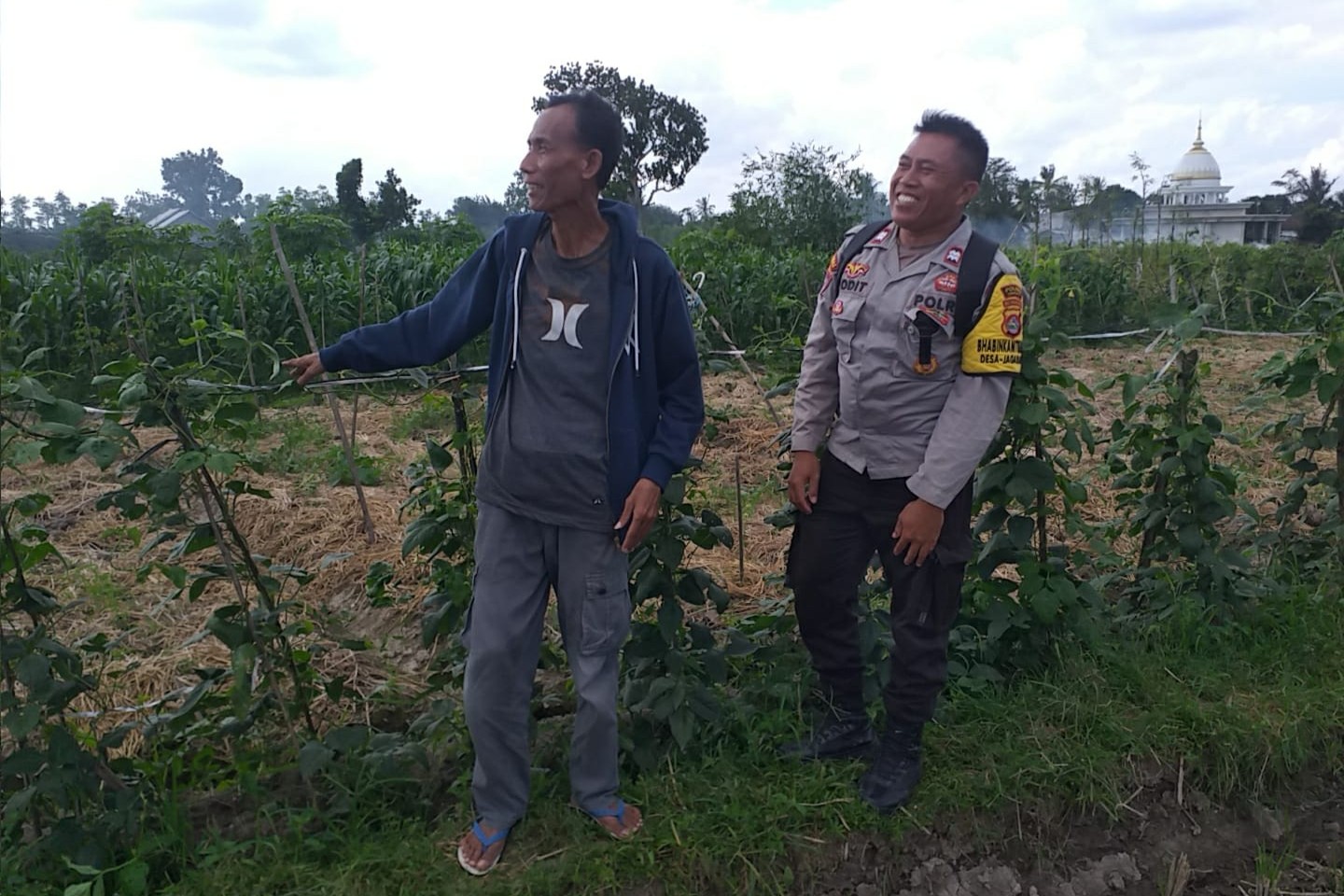 Ketahanan Pangan Dimulai dari Desa, Inisiatif Bhabinkamtibmas di Dusun Beremi Kuripan