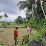 Polri Gencarkan Ketahanan Pangan di Lombok Barat, Bhabinkamtibmas Ajak Warga Sukseskan Swasembada