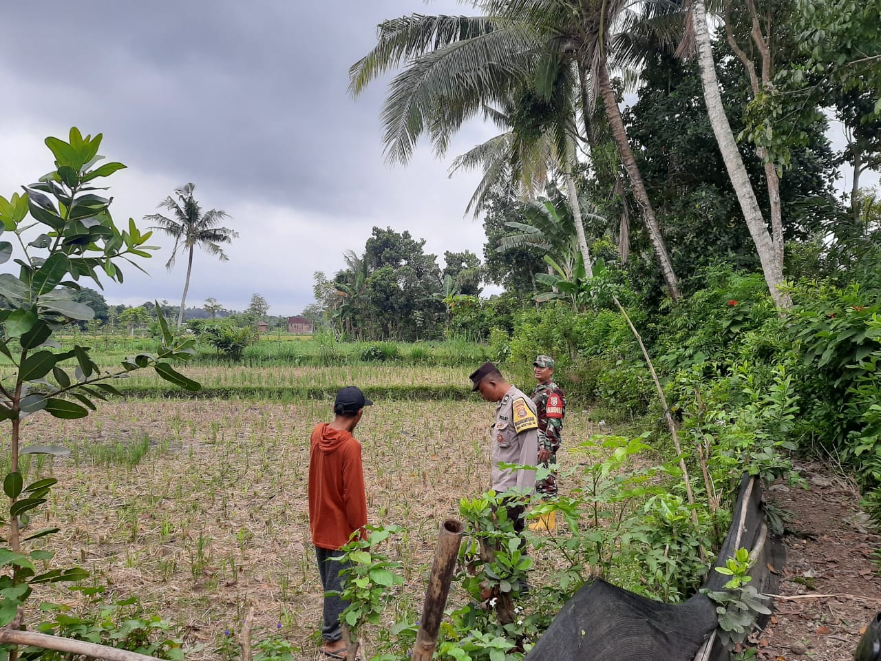 Polri Gencarkan Ketahanan Pangan di Lombok Barat, Bhabinkamtibmas Ajak Warga Sukseskan Swasembada
