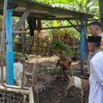 Polsek Batulayar Dorong Ketahanan Pangan Warga Senggigi melalui Edukasi Pertanian (2) Polsek Batulayar Dorong Ketahanan Pangan Warga Senggigi melalui Edukasi Pertanian