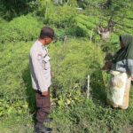 Polsek Kediri Dorong Ketahanan Pangan Warga Montong Are