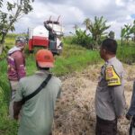 Sinergi Petani dan Polisi di Kediri Lombok Barat, Wujudkan Swasembada Jagung