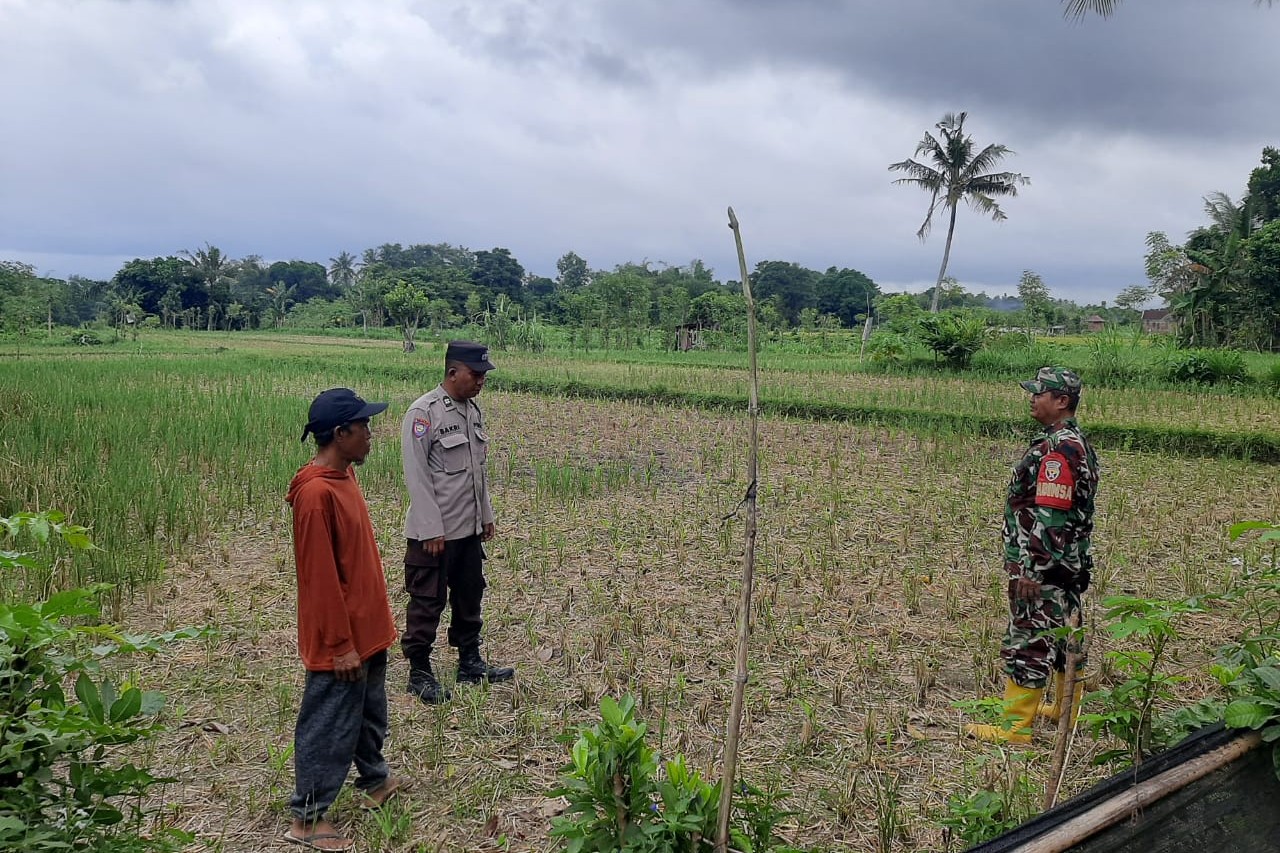 Sinergi Polisi dan Petani di Dusun Nyiur Gasing Dukung Ketahanan Pangan