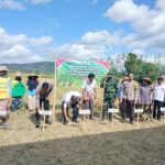 Sinergi Polri, TNI, dan Warga Dukung Swasembada Pangan di Jagaraga, Kuripan