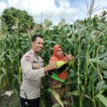 Pekarangan Produktif, Desa Aman: Inisiatif Ketahanan Pangan Bhabinkamtibmas Labuapi