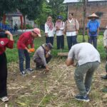 Sinergi Polsek Batulayar dan Warga Sandik Tanam Jagung Dukung Ketahanan Pangan