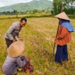 Sinergi Polsek Kuripan dan Petani Iting Langgem, Dukung Swasembada Pangan Lokal