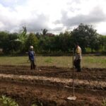 Bhabinkamtibmas Kediri Dorong Ketahanan Pangan di Plowok Selatan