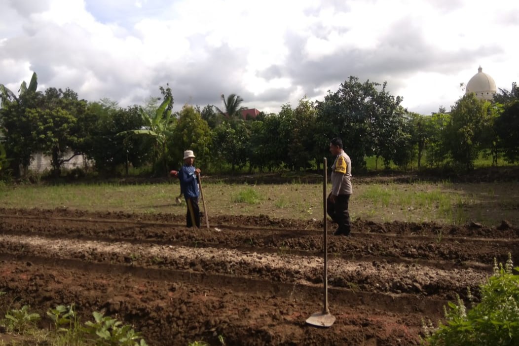 Bhabinkamtibmas Kediri Dorong Ketahanan Pangan di Plowok Selatan