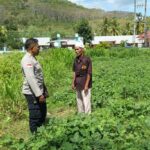 Kunjungi Petani di Sekotong, Polri Tekankan Pemanfaatan Lahan Demi Kedaulatan Pangan