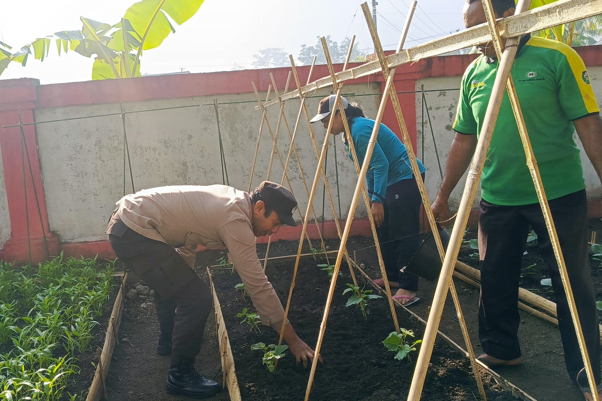 Sinergi Polri dan Masyarakat Kuripan Utara: Dari Pekarangan Menuju Ketahanan Pangan Keluarga