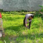 Bhabinkamtibmas Desa Jagaraga Dorong Warga Manfaatkan Lahan untuk Ketahanan Pangan (1) Polri di Lombok Barat Gencarkan Pemanfaatan Lahan Tidur untuk Ketahanan Pangan