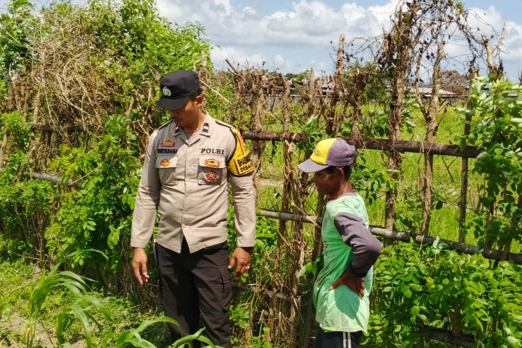 Bhabinkamtibmas di Labuapi dan Warga Bersinergi Jaga Ketahanan Pangan Nasional