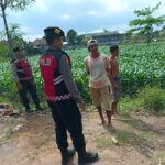 Polres Lobar Kawal Petani Wujudkan Ketahanan Pangan Nasional (3) Polres Lobar Kawal Petani Wujudkan Ketahanan Pangan Nasional